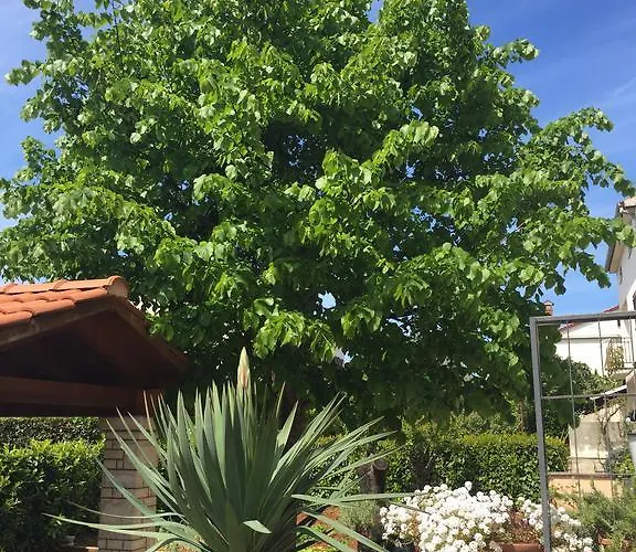 And Heisenberg 2 Rovinj